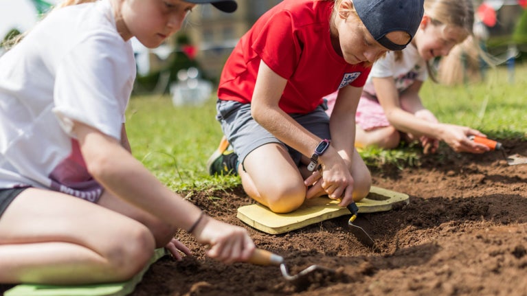 Three children use trowels to dig in a shallow trench.